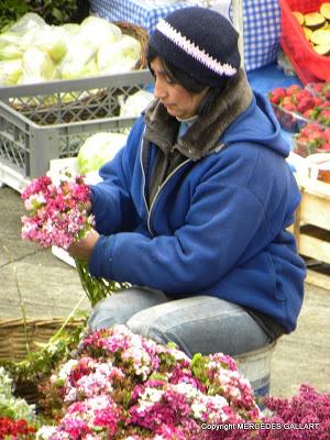 CHILE: EL MERCADO DE MARISCO EN PUERTO MONTT