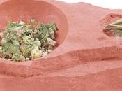 Comiendo Reptiles