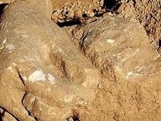 Descubren mano gran tamaño ibérica poblado neolitico