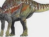 Protohadros