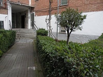 El jardín de la alegría