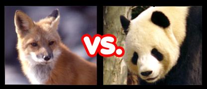 Oportunistas y Especialistas