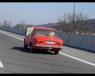 Razones por las que Alonso ganará la F1 en 2010