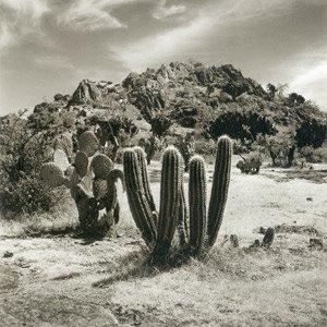 El llano en llamas, Juan Rulfo