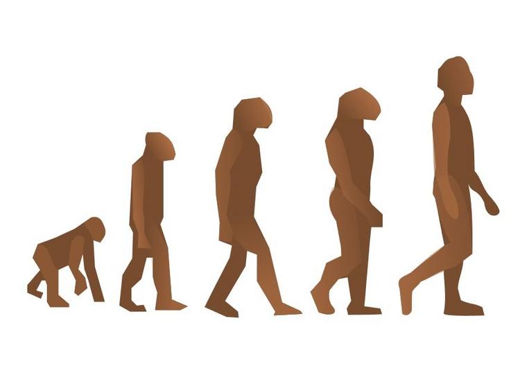 Evolución  por p. Manuel Carreira