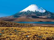 Parque Nacional Lauca Lago Chungará