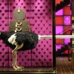 5543135329_814ded31a1_b 5543135329_814ded31a1_b