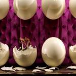 5543131419_b07da1c3df_b 5543131419_b07da1c3df_b