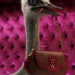 5543136105_f2ca844184_b 5543136105_f2ca844184_b