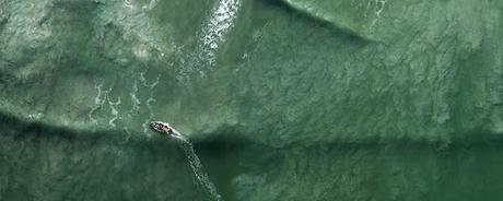 Enlaces de la semana (13/11)