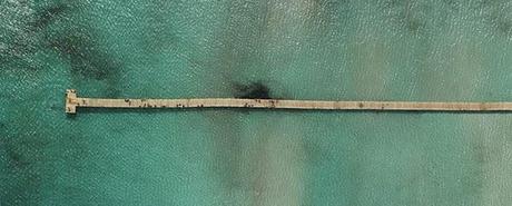 Enlaces de la semana (13/11)