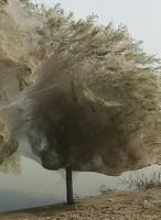 Enlaces de la semana (13/11)