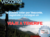 Vota Vesconte gana viaje Tenerife