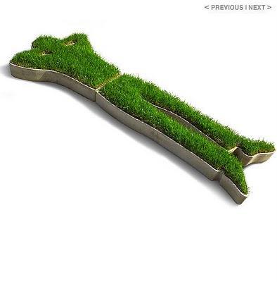 Tomando el sol en el jardín