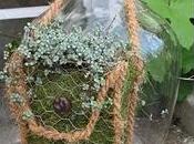 Decoraciones musgo