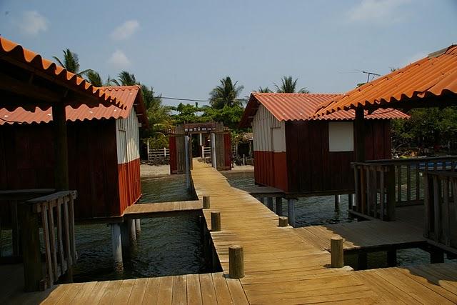 Los manglares de la bahía