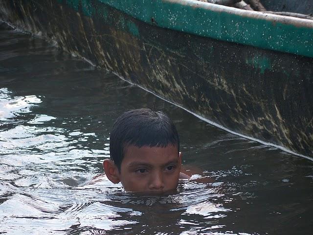 Los manglares de la bahía