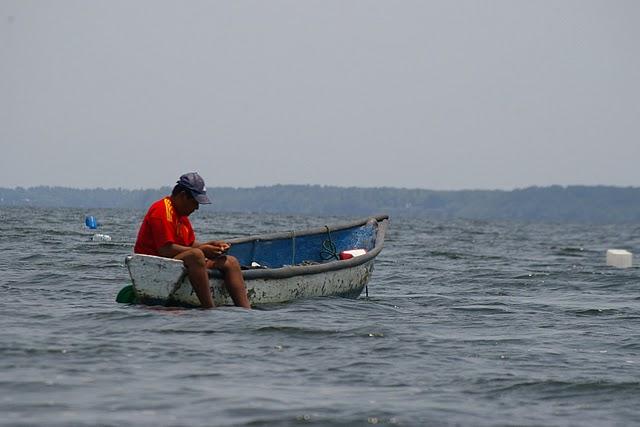 Los manglares de la bahía