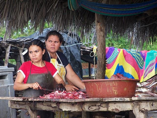 Los manglares de la bahía
