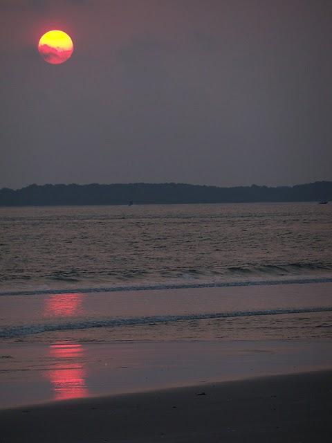 Los manglares de la bahía