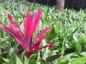 maternidad lado malo?