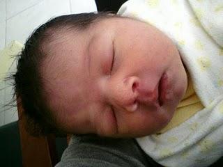 ¡Bienvenida Gala!!!!!!!!...