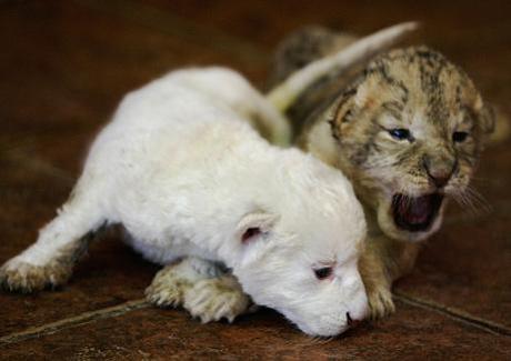 ¿Qué nos hace diferentes?