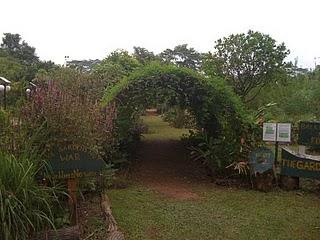 UNA GRANJA ORGÁNICA ALEJADA DEL CENTRO