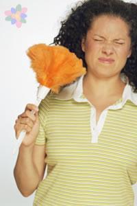 Las alergias pueden estar en casa