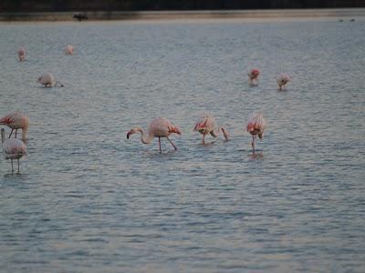 Pueblos de la Costa Blanca. Una vuelta por Alicante (Parte I)