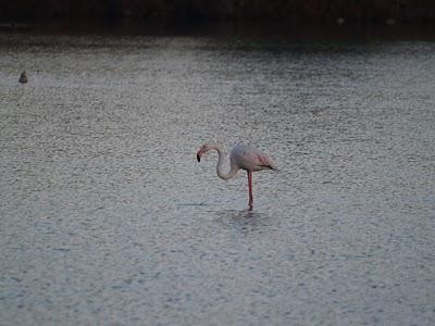 Pueblos de la Costa Blanca. Una vuelta por Alicante (Parte I)