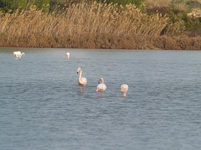 Pueblos de la Costa Blanca. Una vuelta por Alicante (Parte I)