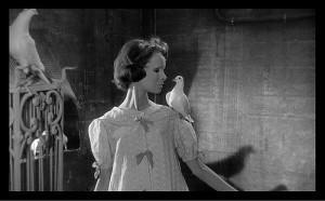 2369082547_b659853ca1 OJOS SIN ROSTRO