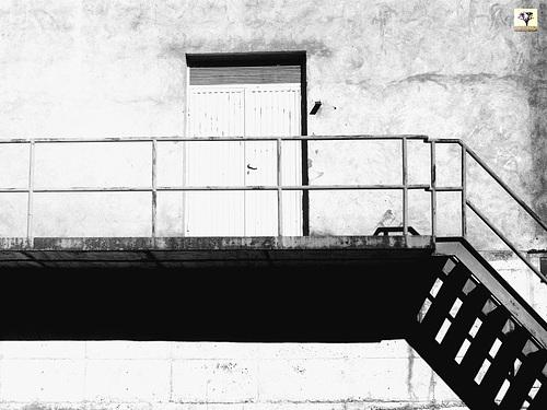 De puertas cerradas …