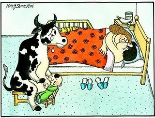 Pobres vacas, pobres humanos...