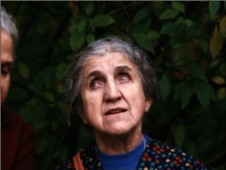 Werner Herzog: Retrospectiva Documental/I Werner Herzog: Retrospectiva Documental/I