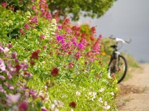 Cicloturismo en España