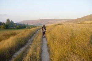 Camino de Santiago