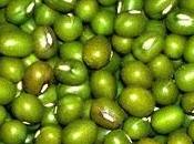 Soja: proteína sana