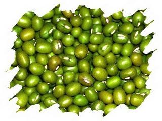 SOJA: LA PROTEÍNA MAS SANA