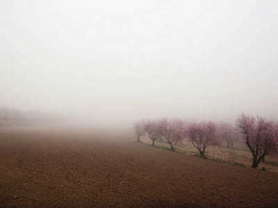 Jugada a 3 bandas (galerías+comisarios+artistas)