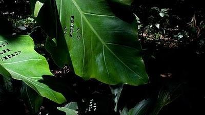 Jugada a 3 bandas (galerías+comisarios+artistas)