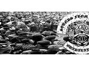 Sounds from deep completo