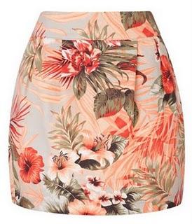 RAINFOREST OBSESSION