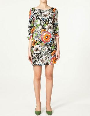 RAINFOREST OBSESSION