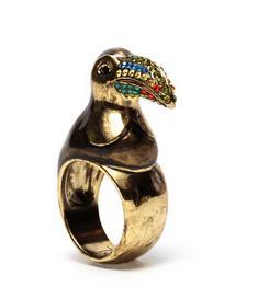 RAINFOREST OBSESSION