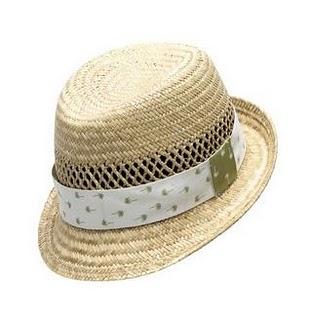 RAINFOREST OBSESSION