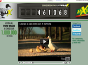 Liberad pato Willix (con MiXta)