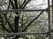 andamioEn días tristes duros, cuando tengo ganas