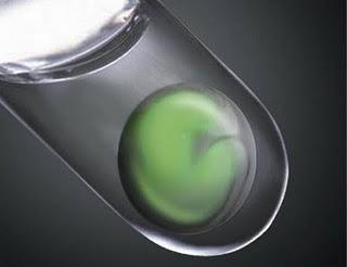 Científicos japoneses fabrican la estructura del ojo más compleja en el laboratorio